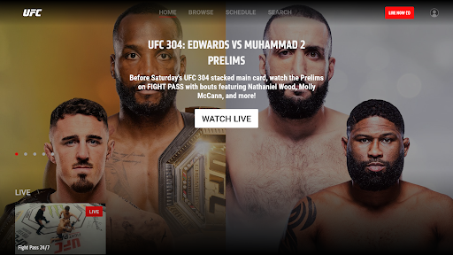 UFC screenshot 24