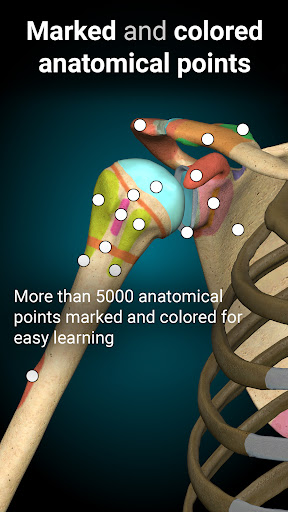 Anatomy Learning By Dr. Blanco screenshot 16
