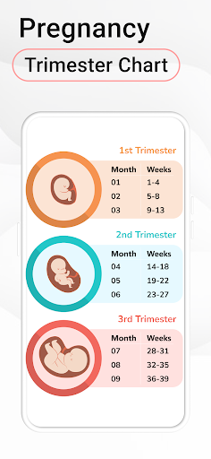Pregnancy Calculator: Due Date screenshot 8