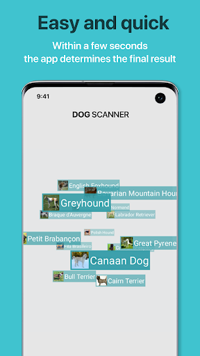 Dog Scanner: Breed Recognition screenshot 2