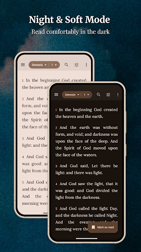King James Bible (KJV) screenshot 2