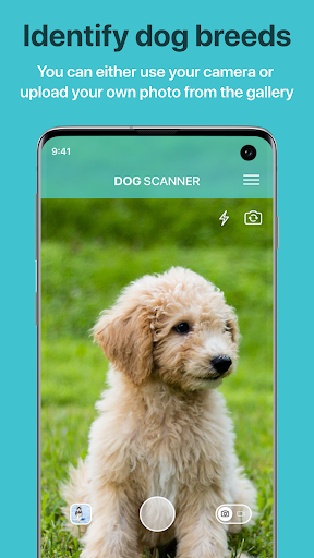 Dog Scanner: Breed Recognition screenshot 3