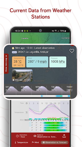 Windy.com - Weather Forecast screenshot 20