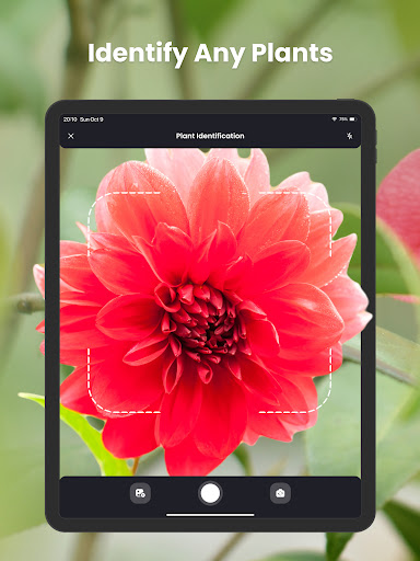 PlantIn Plant Identifier, Care screenshot 15