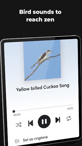 Ringtones for Android™ screenshot 10