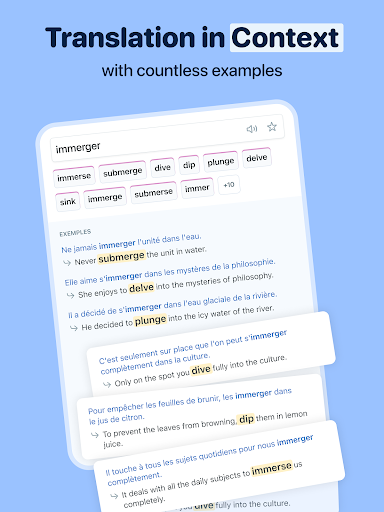Reverso Translate and Learn screenshot 11