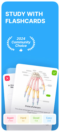 Noji – Flashcards study app screenshot 7