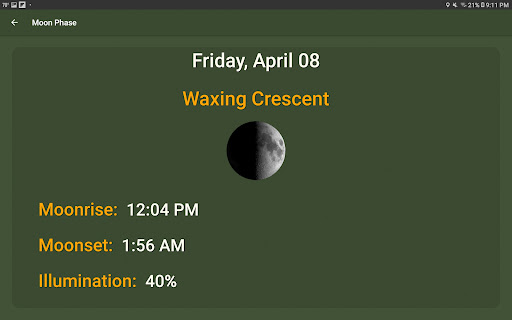What The Forecast screenshot 19