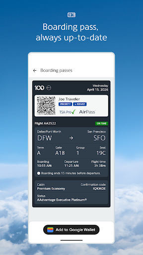 American Airlines screenshot 4