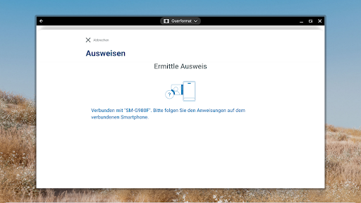 AusweisApp Bund screenshot 15
