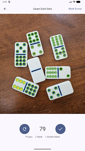 Domino Dot Counter screenshot 16