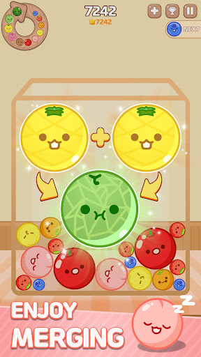 Melon Maker : Fruit Game screenshot 13
