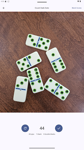 Domino Dot Counter screenshot 17