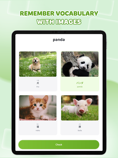 Learn Japanese: HeyJapan screenshot 8