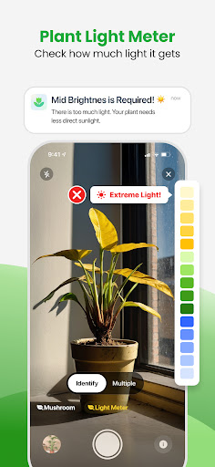 Plant App - Plant Identifier screenshot 6