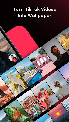TickTock-TikTok Live Wallpaper screenshot 7