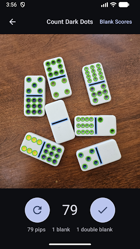 Domino Dot Counter screenshot 15