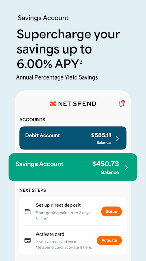 Netspend screenshot 2