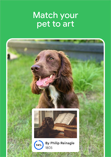 Google Arts & Culture screenshot 12