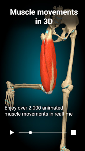 Anatomy Learning By Dr. Blanco screenshot 9