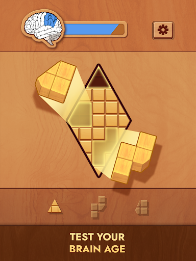 Woodoku - Wood Block Puzzle screenshot 20