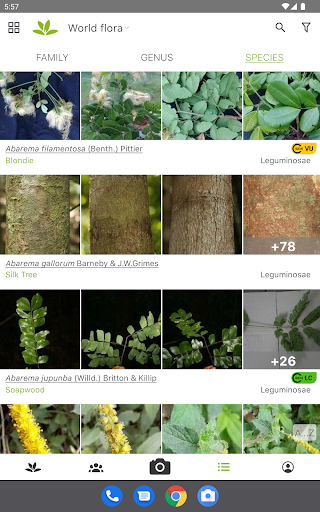 PlantNet Plant Identification screenshot 9