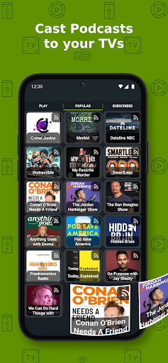 Cast to TV+ Chromecast Roku TV screenshot 5