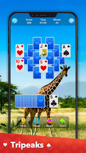 Solitaire Collection screenshot 19