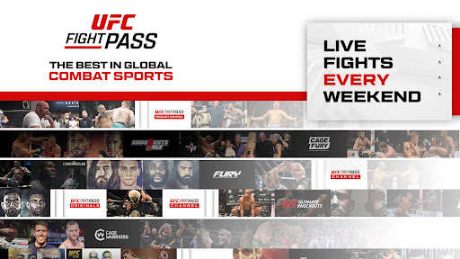 UFC screenshot 14