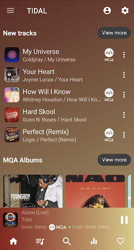 USB Audio Player PRO screenshot 1