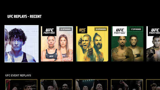 UFC screenshot 13