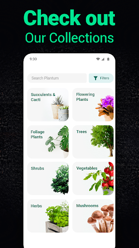 Plantum - Plant Identifier screenshot 23