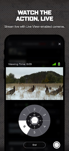 Command screenshot 8