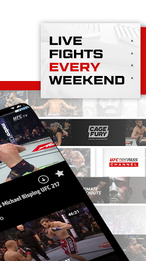 UFC screenshot 5