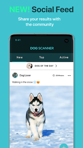 Dog Scanner: Breed Recognition screenshot 7