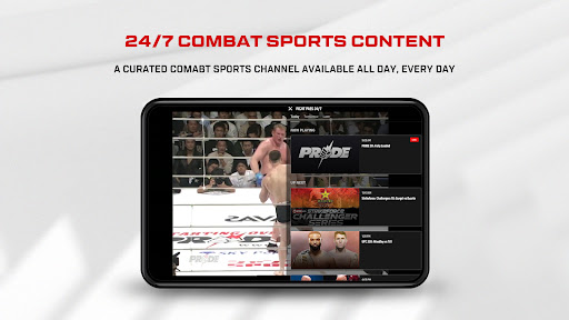 UFC screenshot 7