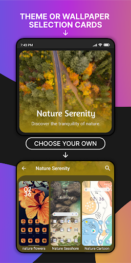 Themes screenshot 16