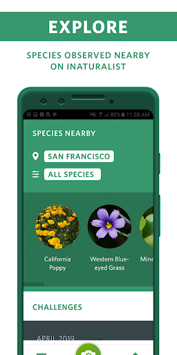Seek by iNaturalist screenshot 2
