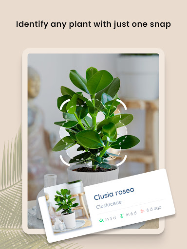 PlantIn Plant Identifier, Care screenshot 16