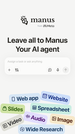 Manus AI screenshot 6
