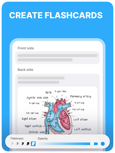 Noji – Flashcards study app screenshot 2