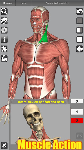 3D Anatomy screenshot 14