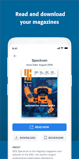 IEEE screenshot 2