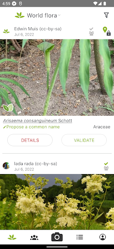 PlantNet Plant Identification screenshot 1