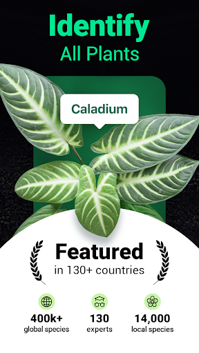 Plantum - Plant Identifier screenshot 10