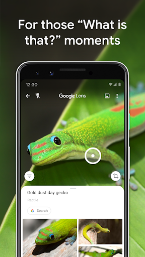 Google Lens screenshot 2