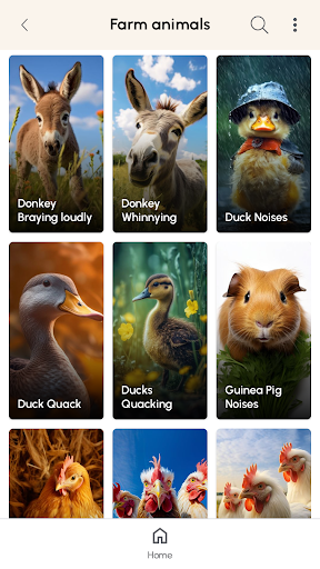 Animal Sounds and Ringtones screenshot 16