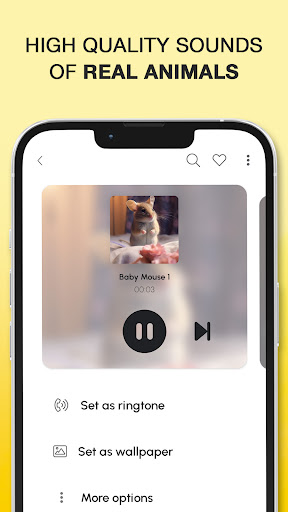 Animal Sounds and Ringtones screenshot 1