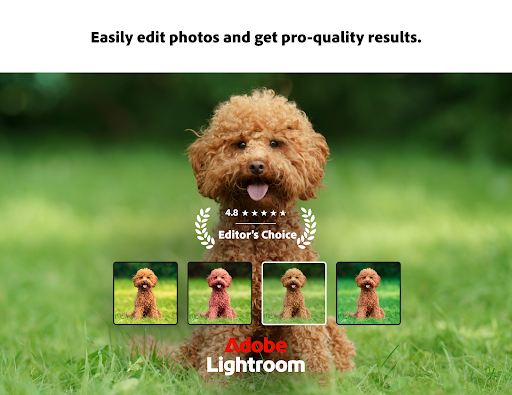 Lightroom Photo & Video Editor screenshot 12