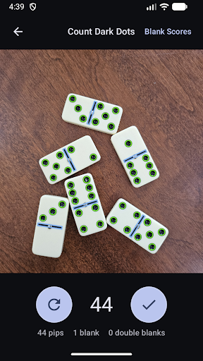 Domino Dot Counter screenshot 6